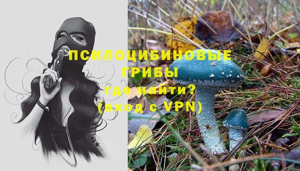 стафф Снежинск